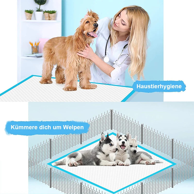 Tapis Absorbant Jetable pour Chien & Chat – Lot de 100 – Hygiénique & Pratique