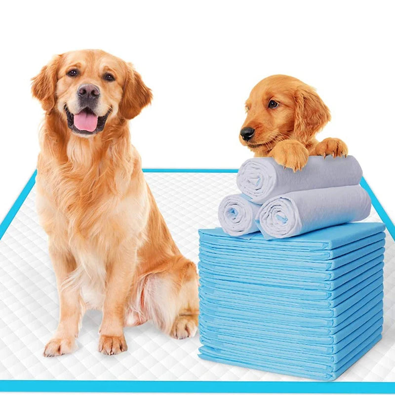 Tapis Absorbant Jetable pour Chien & Chat – Lot de 100 – Hygiénique & Pratique