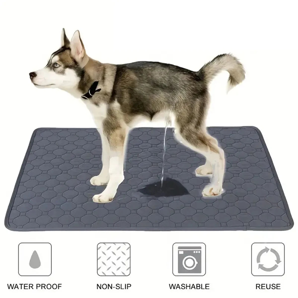 Tapis de Propreté Lavable pour Chien & Chat – Ultra-Absorbant, Imperméable & Réutilisable
