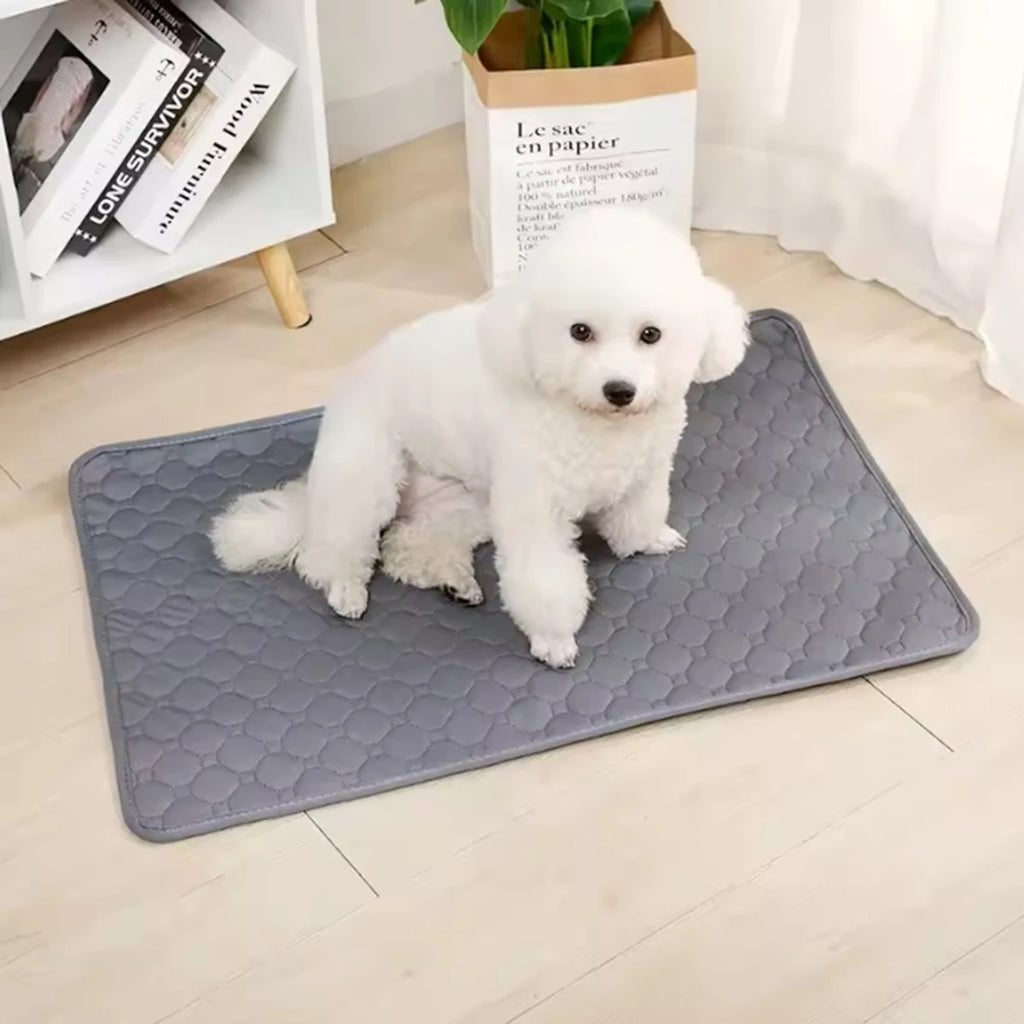Tapis de Propreté Lavable pour Chien & Chat – Ultra-Absorbant, Imperméable & Réutilisable